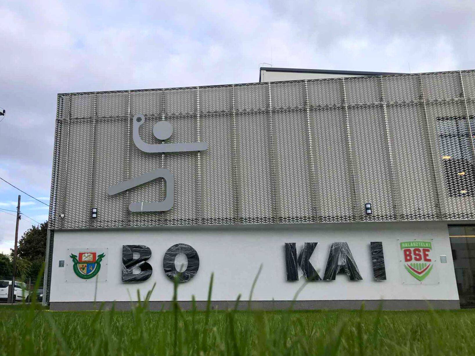 Kézilabdás figura a halászteleki sportcsarnok homlokzatán Kézilabdás figura a halászteleki sportcsarnok homlokzatán
